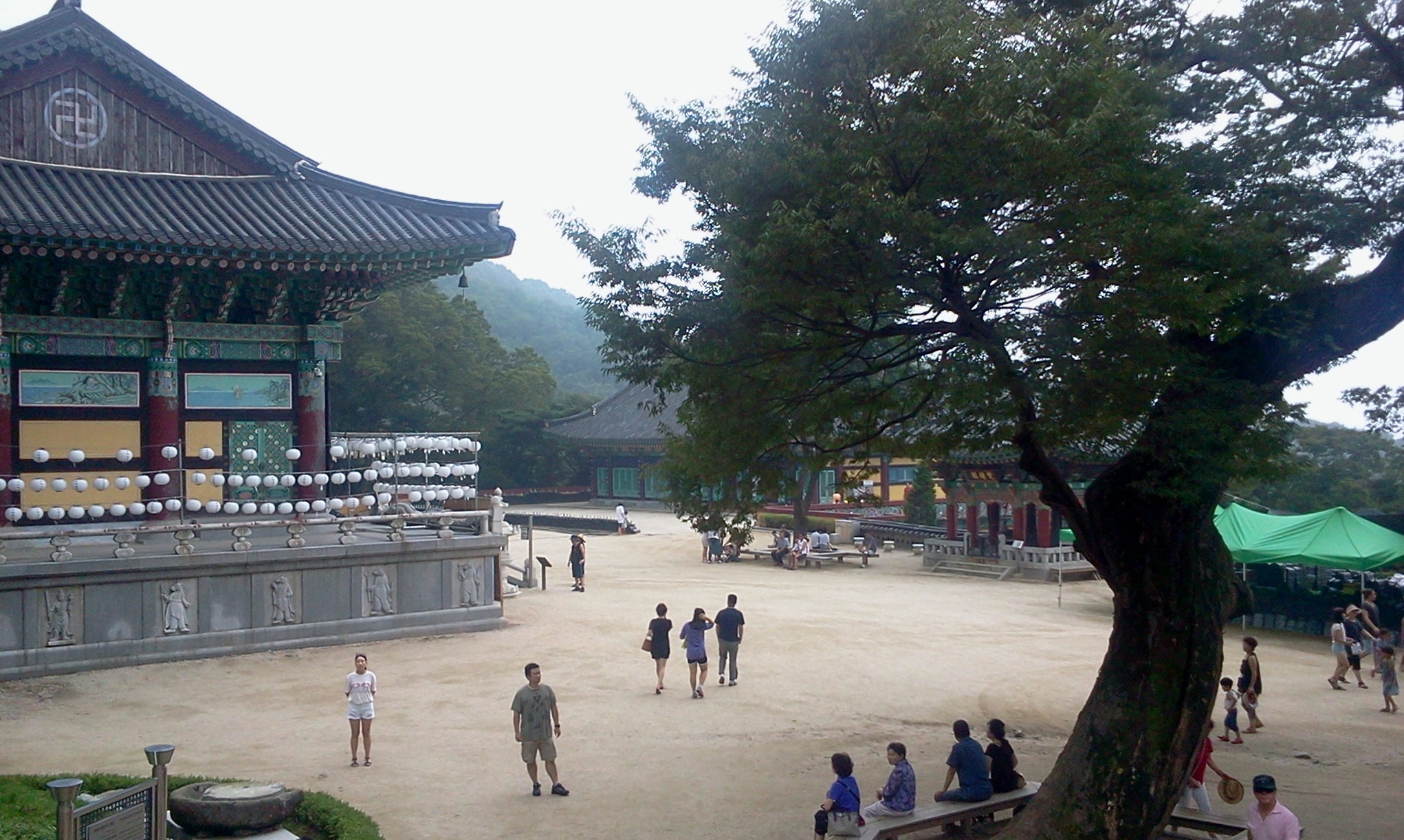 A large, twisted tree in a Buddhist temple courtyard, seen from higher vantage point, on the right, with people (tourists) standing around and several temple buildings nearby, the largest cut by the frame on the left