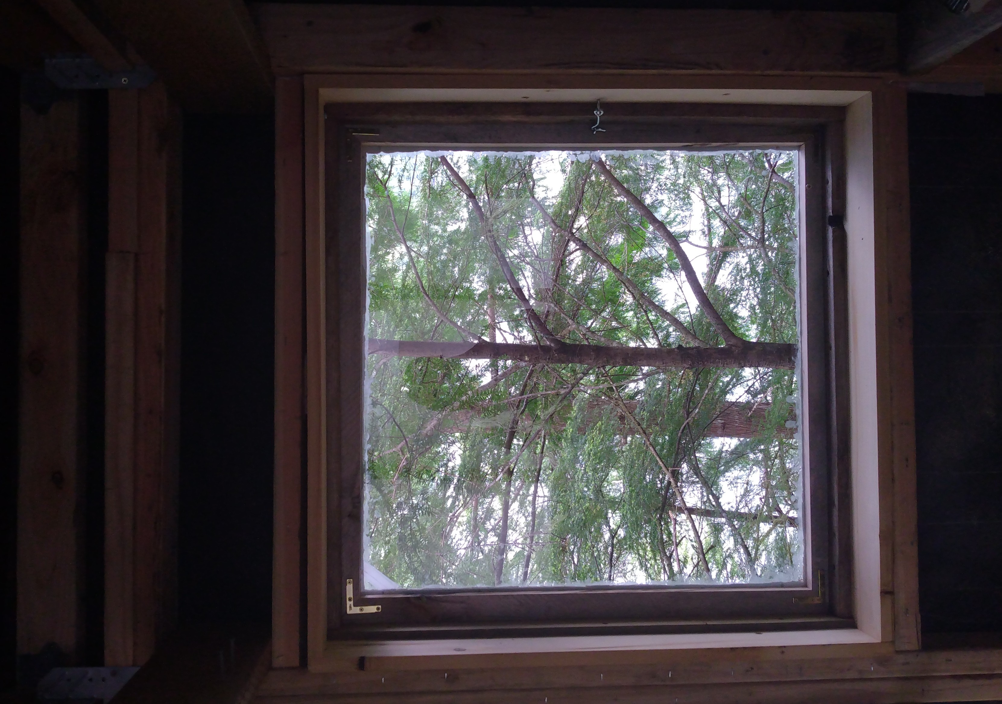 A square, clearly hand-crafted window with a single pane looking out at some thin tree-trunks