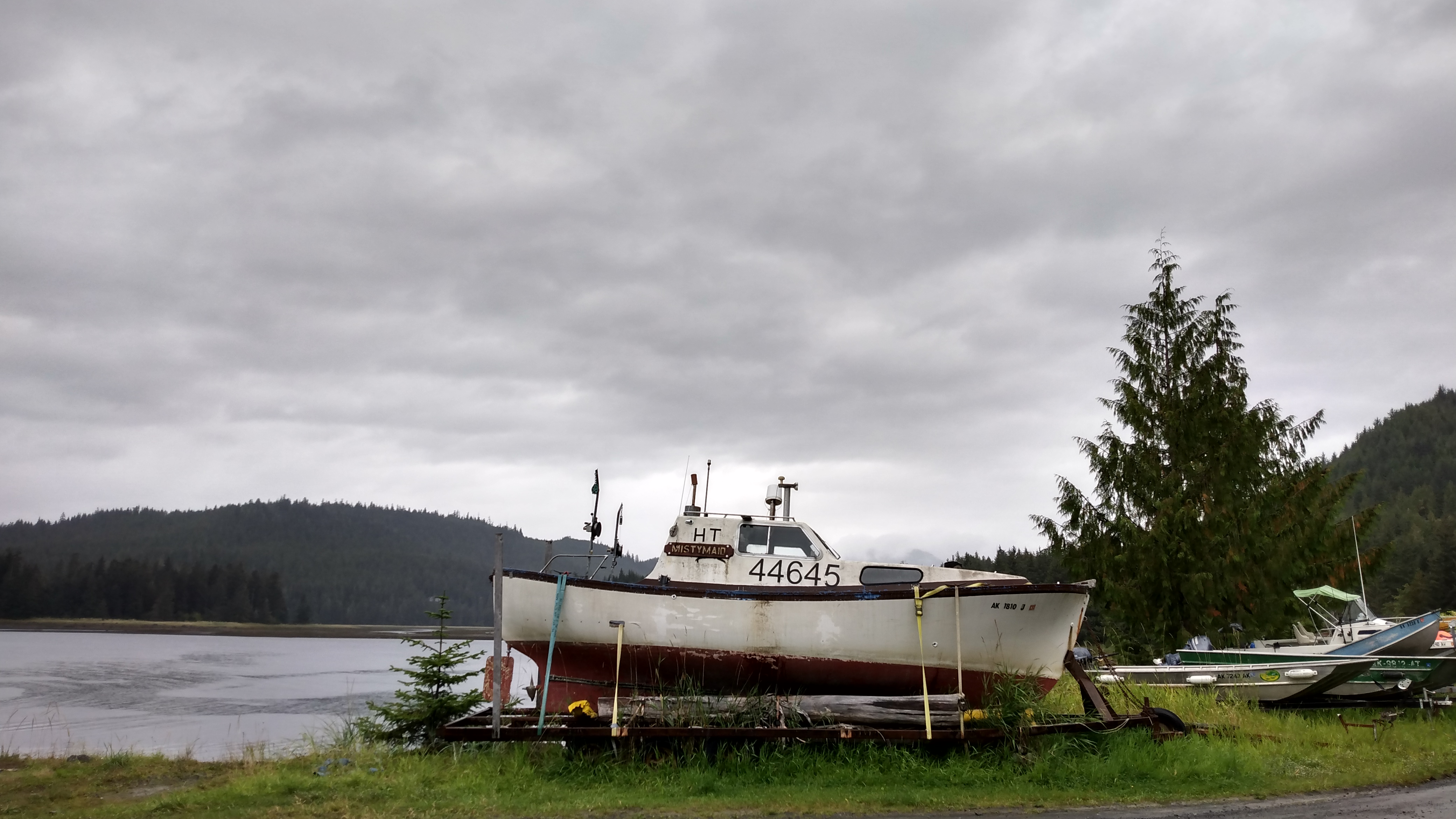 A small, somewhat decrepit-looking sport-fishing boat strapped onto a trailer near the shore, with a tree farther away on the right